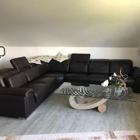 Ferienwohnung-Ameisenhardt Schleiden Buitenkant foto